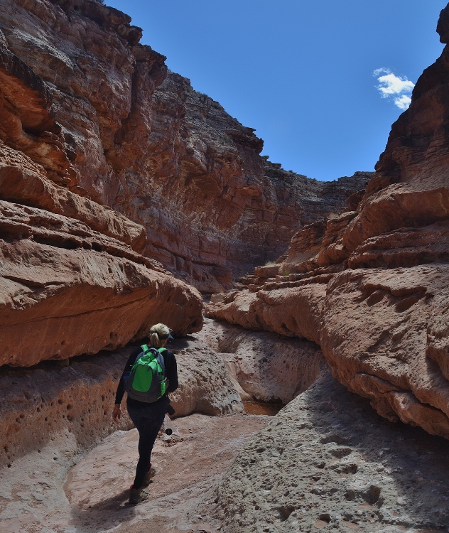 Lower Cathedral Wash